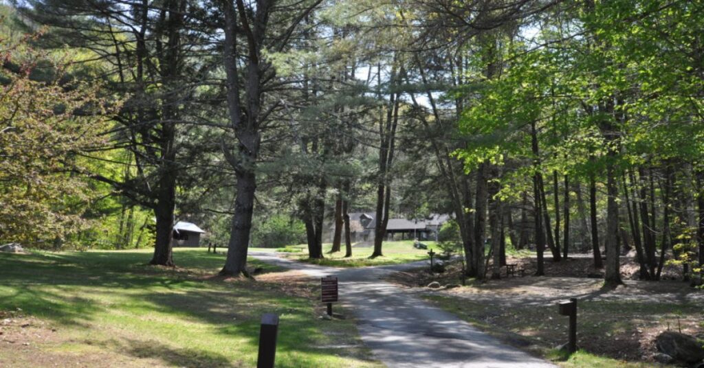 things to do sarasota