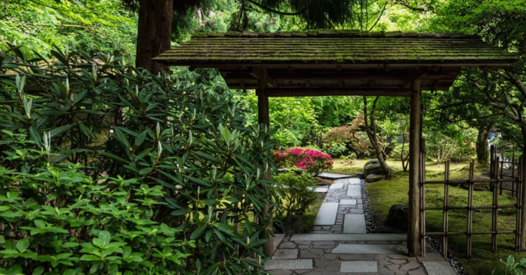 things to do portland