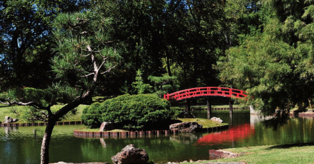 things to do memphis