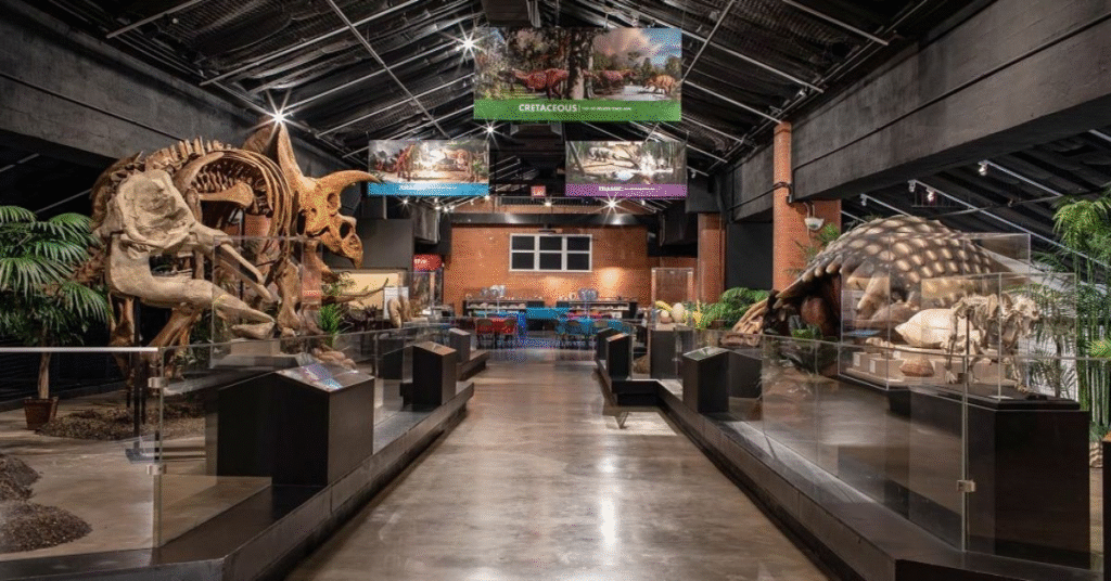 things to do memphis