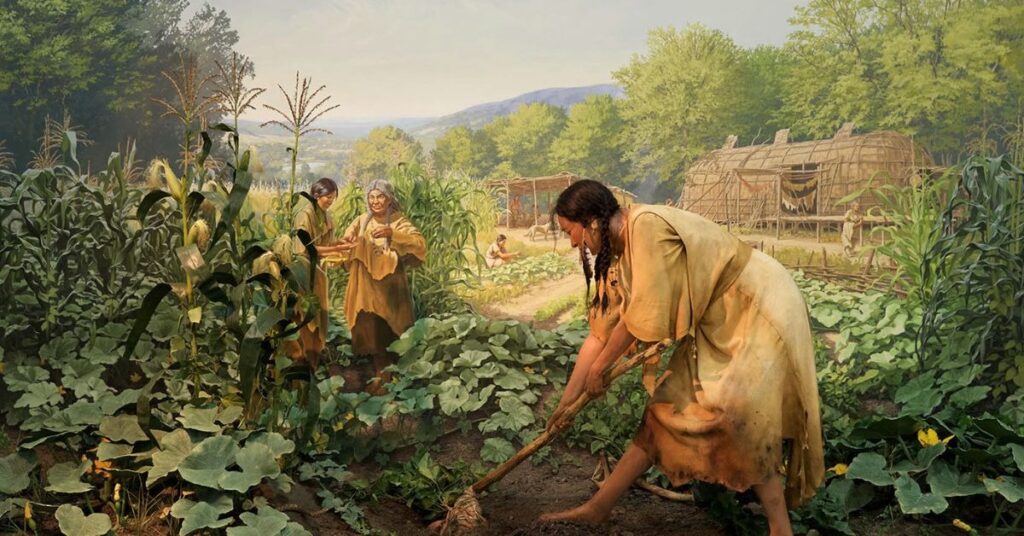 things to do in Antigua