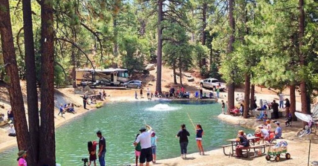 things to do in idyllwild