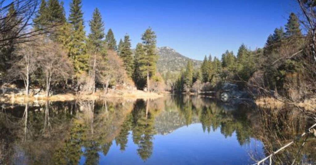things to do in idyllwild