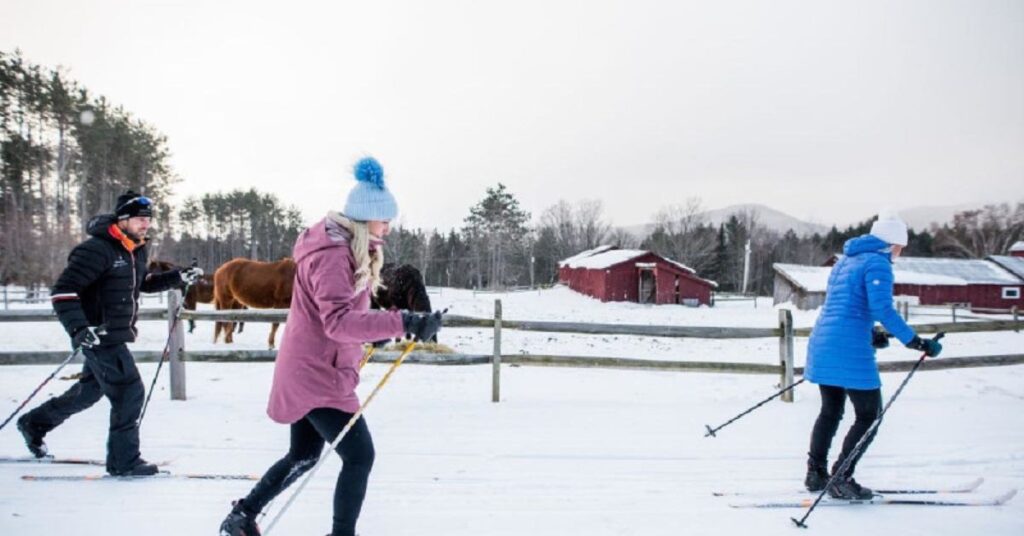 things to do in provincetown