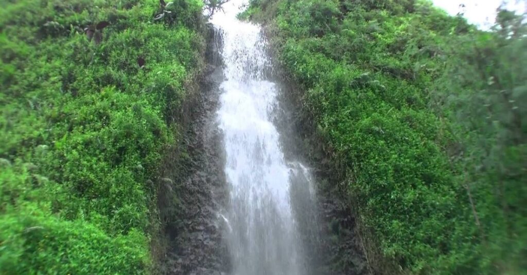 things to do in tahiti