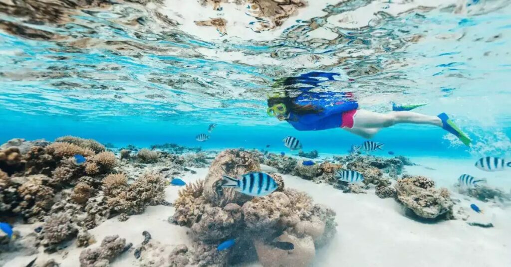 things to do in tahiti