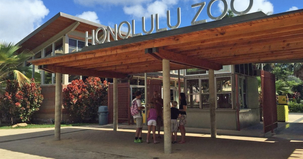 things to do waikiki