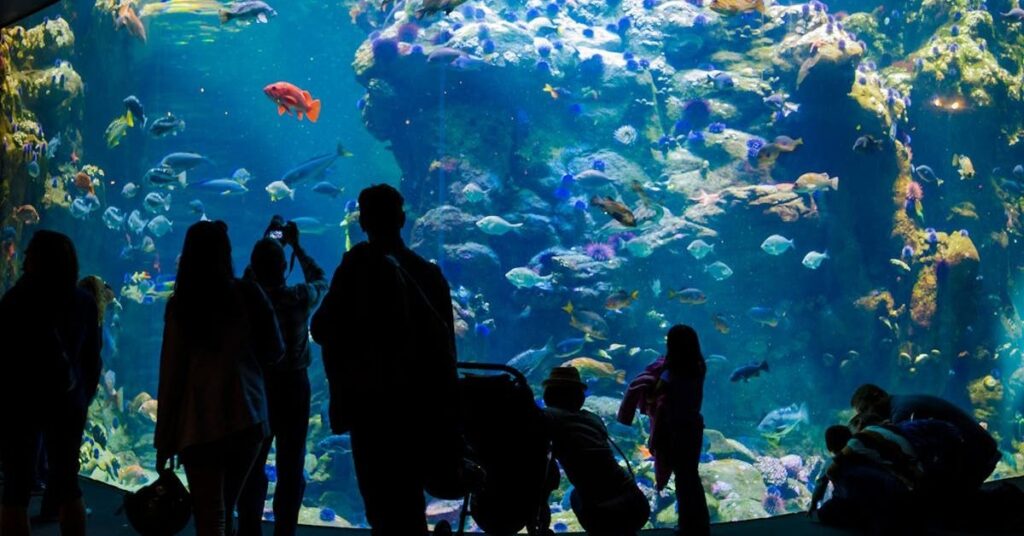 things to do monterey