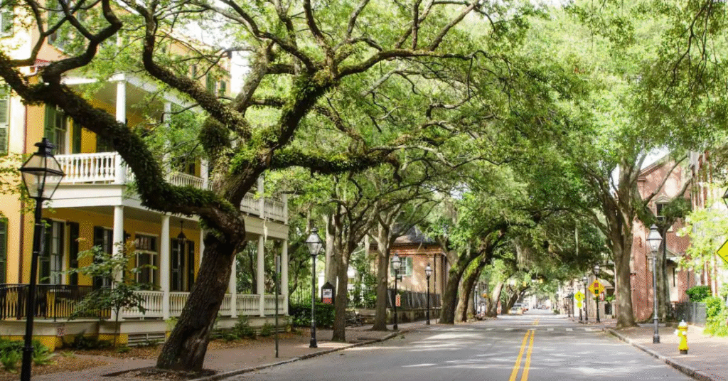 things to do charleston