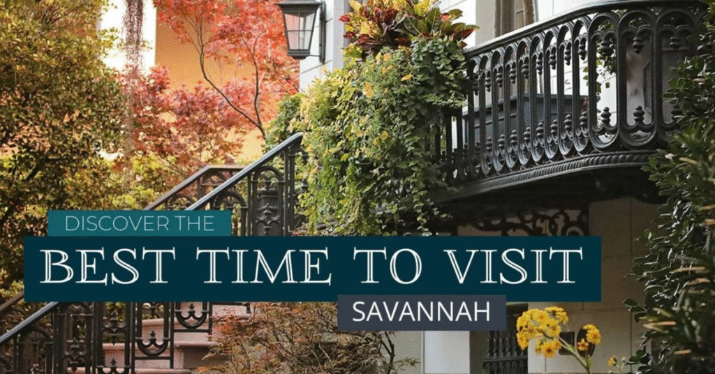 things to do savannah