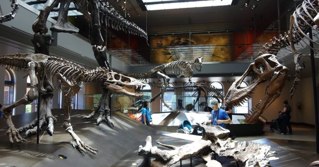 things to do in london