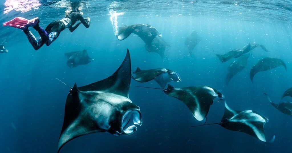 things to do in kona