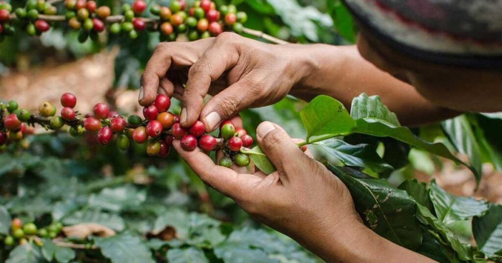 things to do in kona