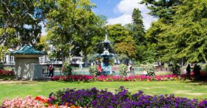 things to do in christchurch