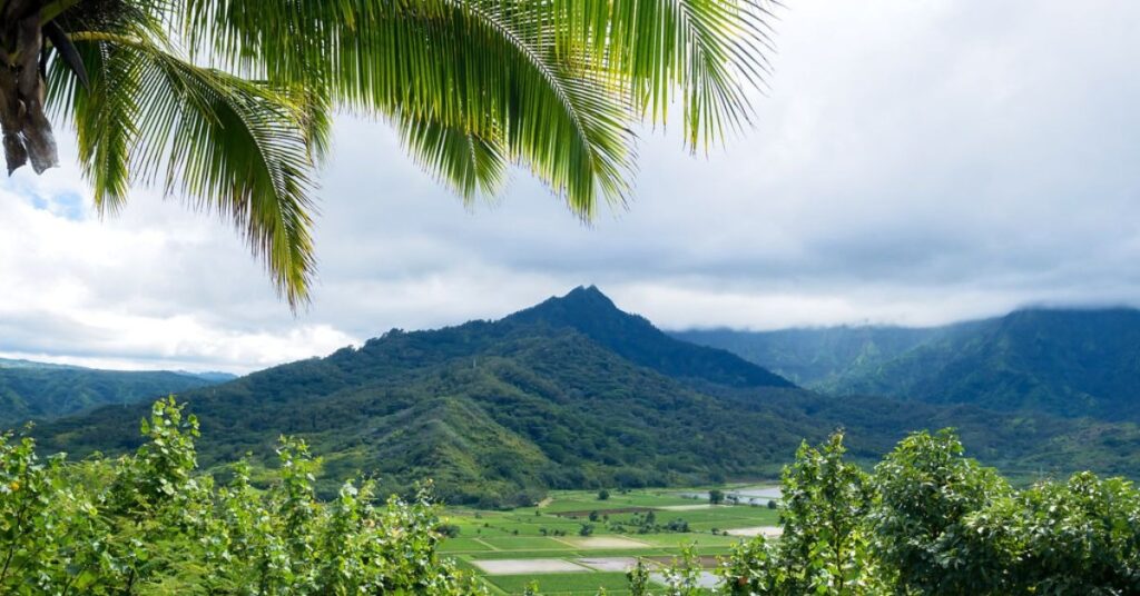 things to do in Princeville