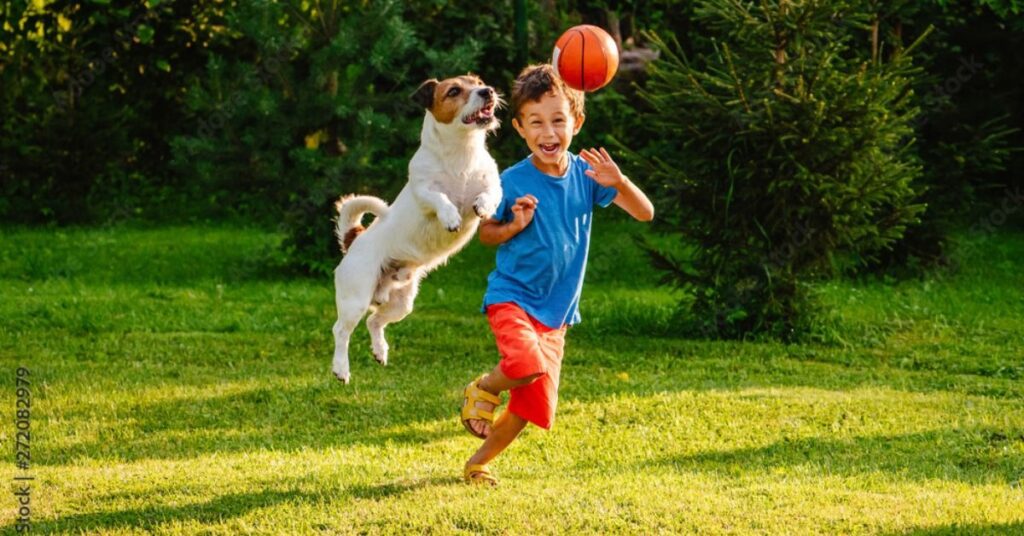 things to do in Terlingua