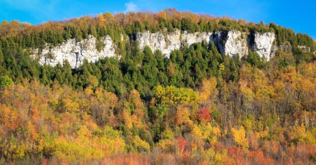 things to do in wimberley