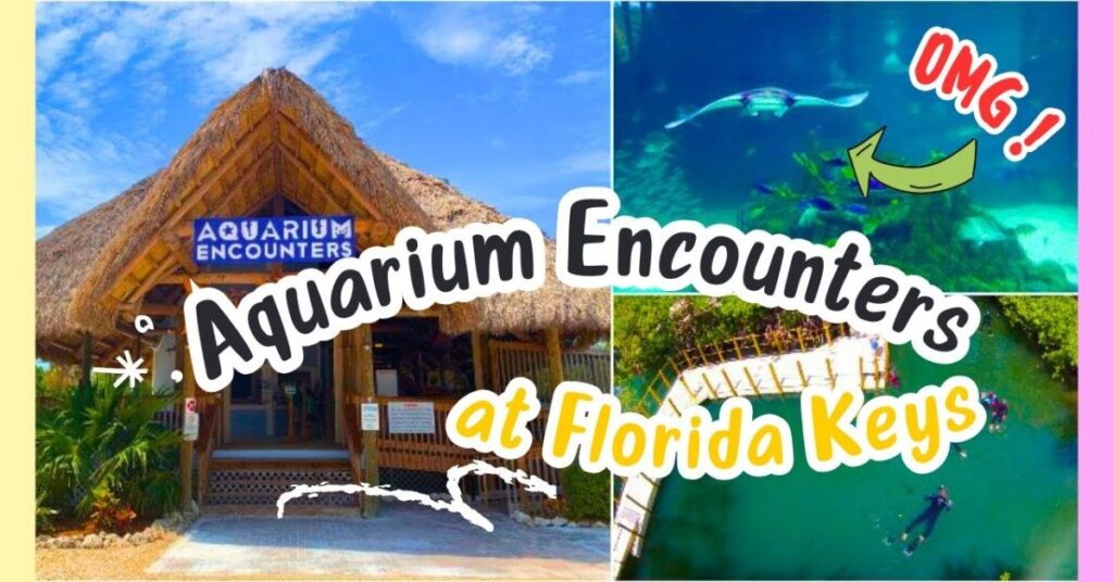 things to do in Marathon