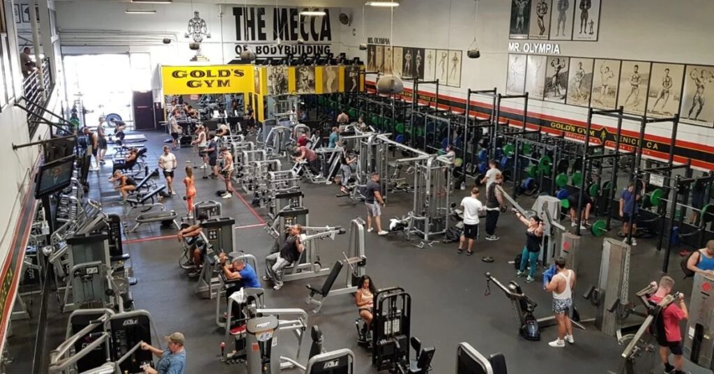 things to do in dumbo