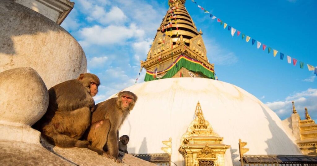 things to do in Kathmandu