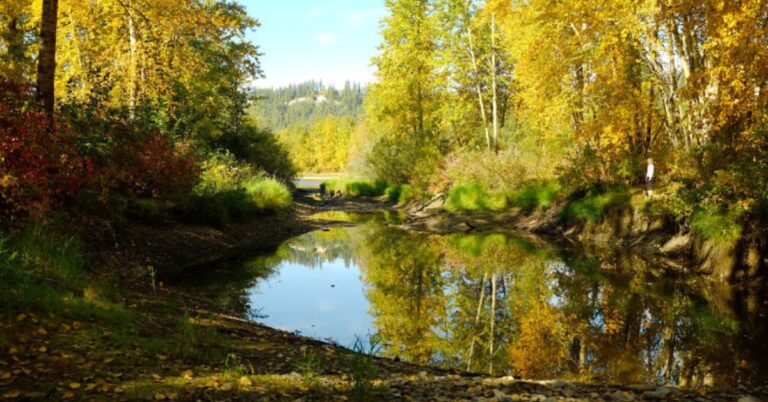 things to do in Cottonwood