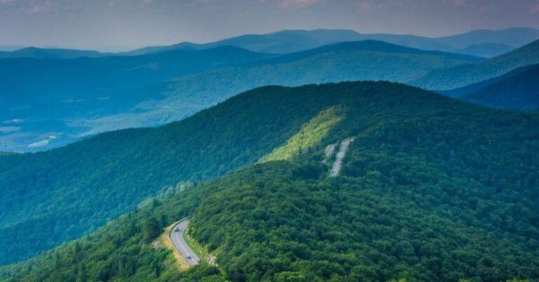 things to do in Shenandoah