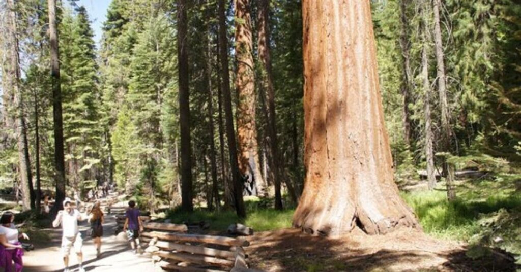 Things to Do in Oakhurst