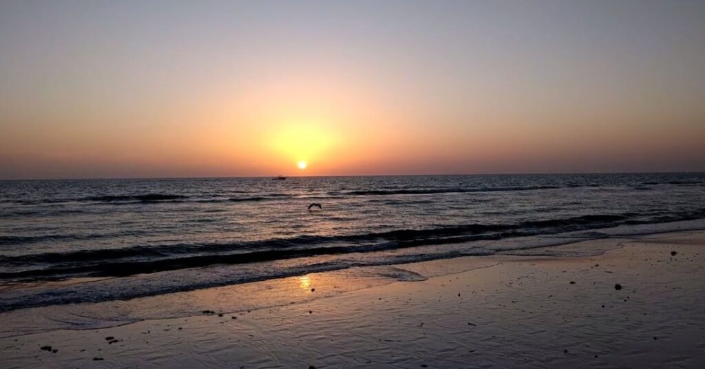 things to do in Marco