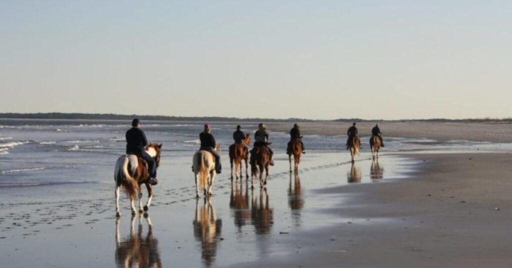 things to do in Vieques