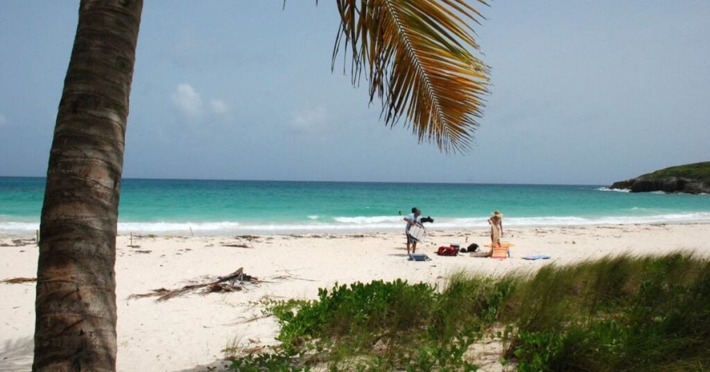 things to do in Vieques