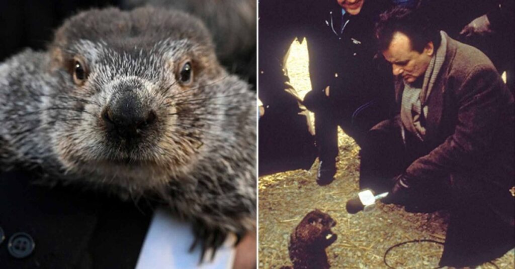 Things to Do in Punxsutawney