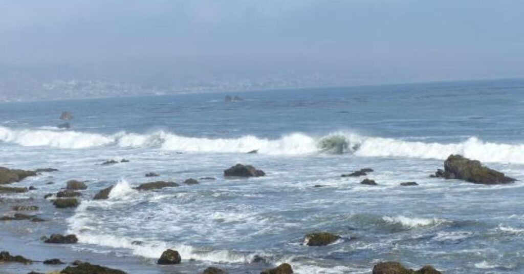 things to do in Cayucos