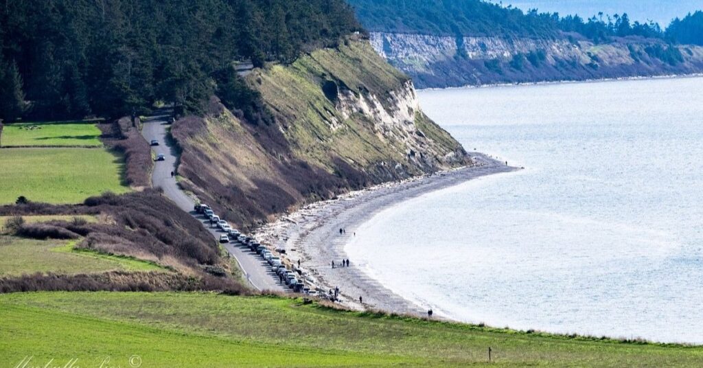 things to do in coupeville