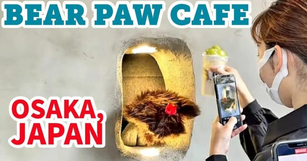 things to do in Osaka